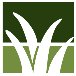 Encinitas Lawn Clean Up