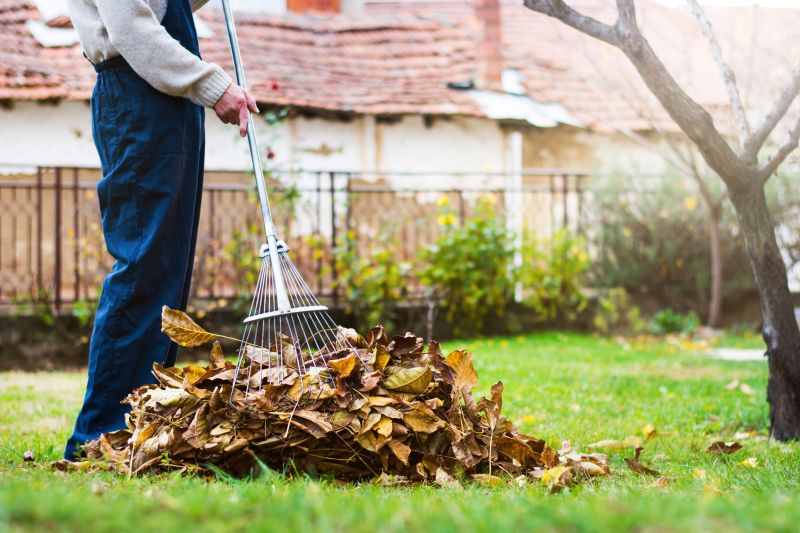 Leaf Raking Service detail