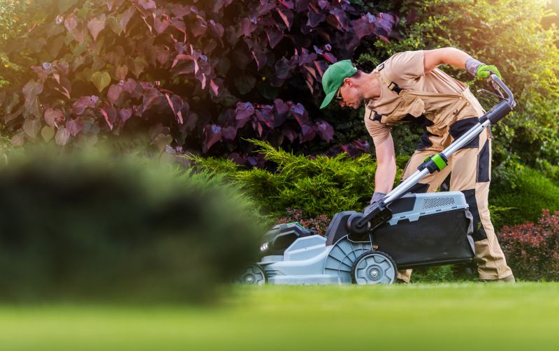 Independent Lawn Care Experts
