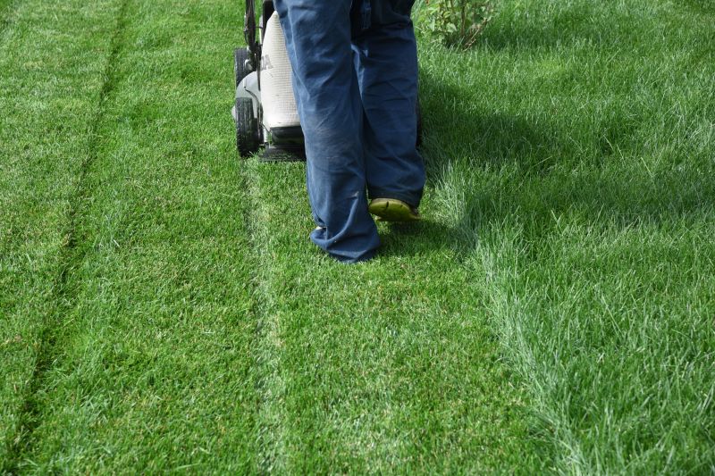 Customized Lawn Care Plans