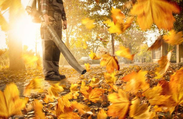 Leaf Blowing Service in Encinitas