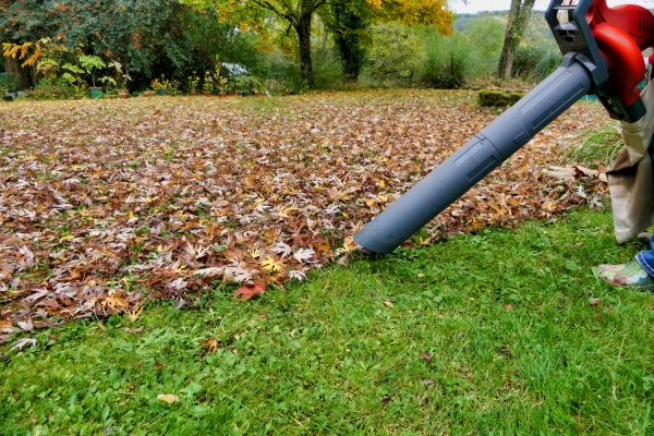 Leaf Vacuuming Service in Encinitas