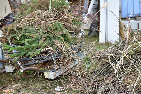Yard Debris Removal in Encinitas