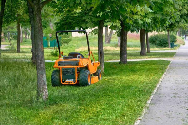 Landscaping Cleanup Service in Encinitas