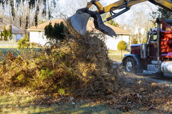 Storm Debris Removal in Encinitas