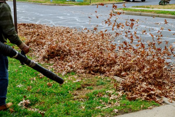 Cost of Garden Leaf Removal in Encinitas