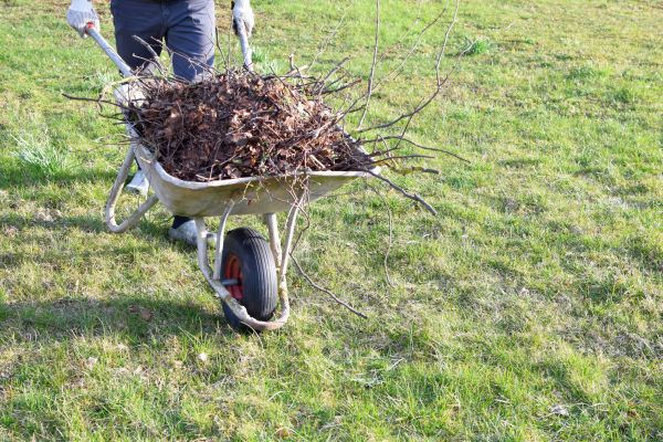 Yard Brush Removal in Encinitas