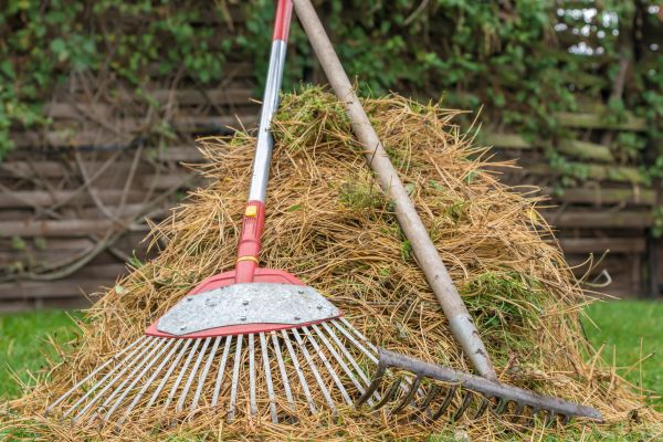 Cost of Pine Straw Clearing in Encinitas
