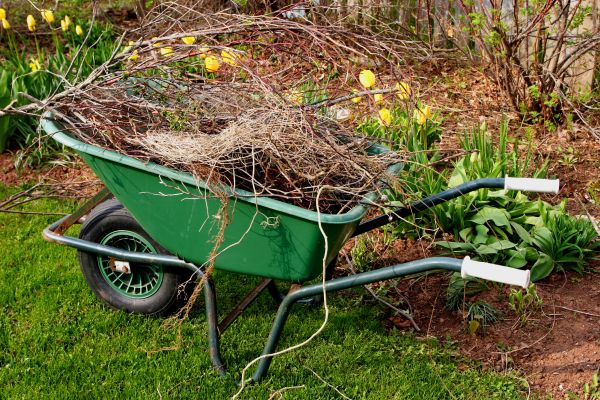 Lawn Waste Removal in Encinitas