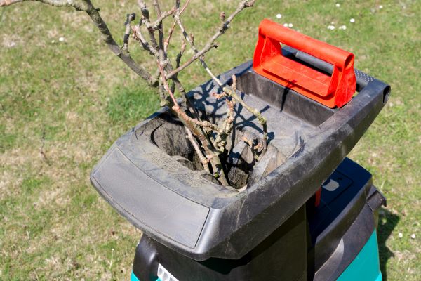 Cost of Brush Cleanup Service in Encinitas