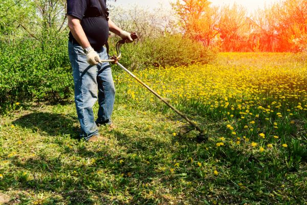 Cost of Yard Clearing Service in Encinitas