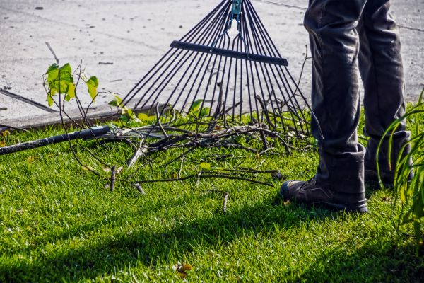 Yard Debris Cleanup in Encinitas