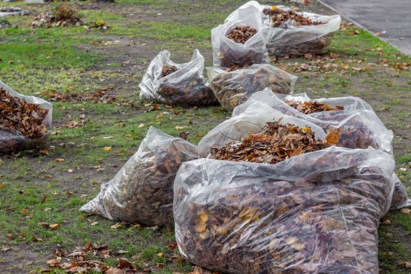 Cost of Leaf Pile Disposal in Encinitas