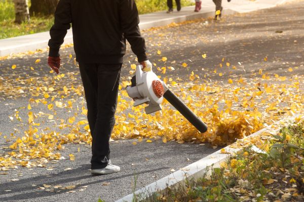 Commercial Leaf Removal in Encinitas